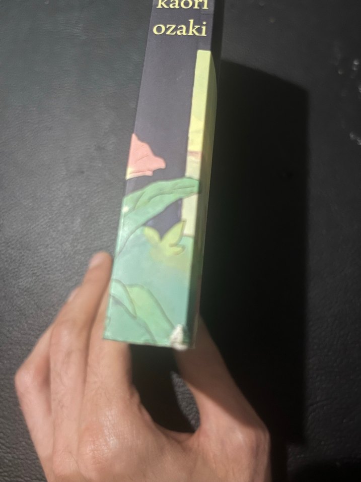 The Gods Lie - Kaori Ozaki - Görsel 4