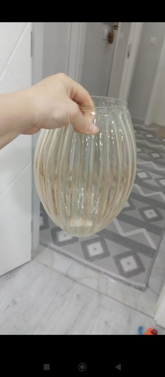 Bej Renkli Şeffaf Vazo - Görsel 3