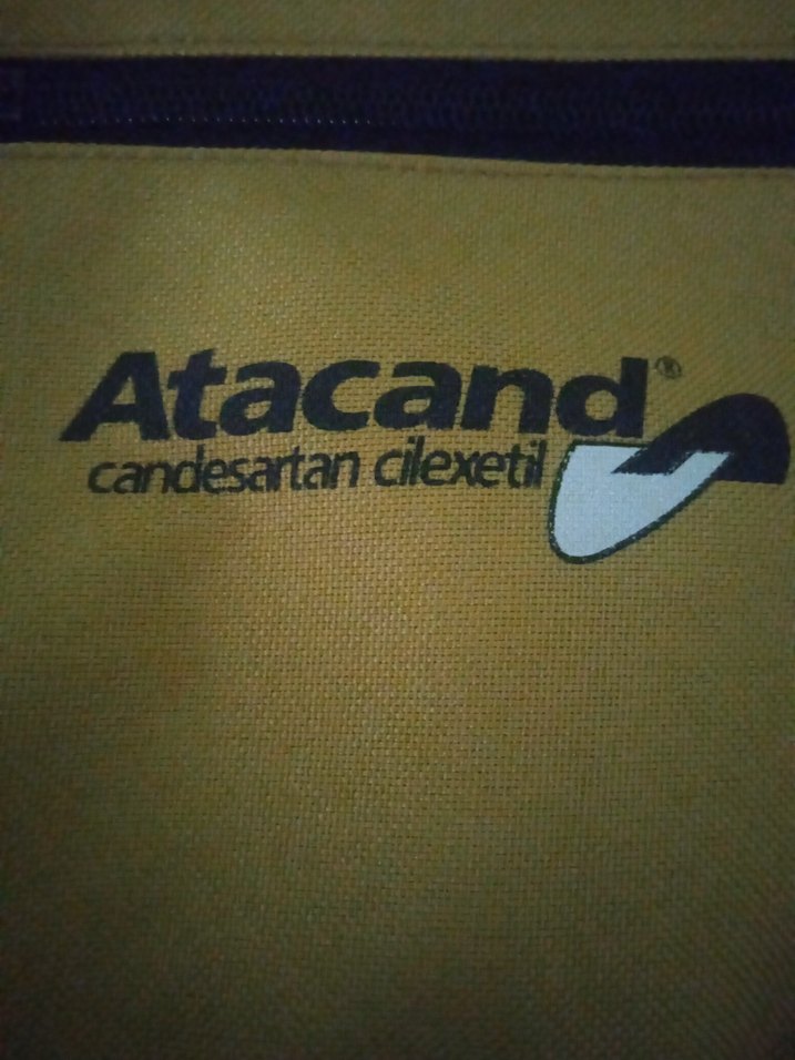 atacand marka çanta - Görsel 4