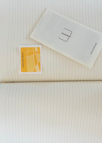 Moleskine Çizgili Sanat Defteri