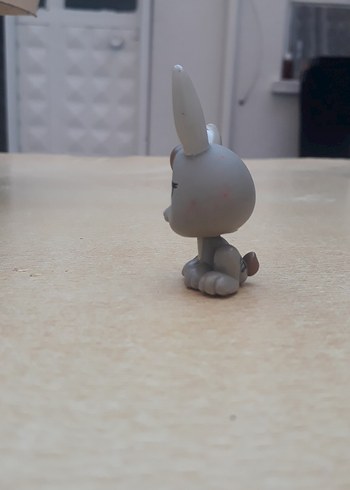 tavşan miniş