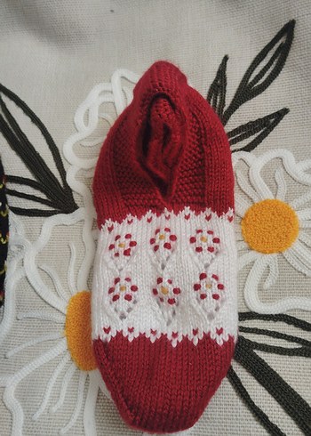 Nakışlı Çok Renkli bayan patikleri - Görsel 10