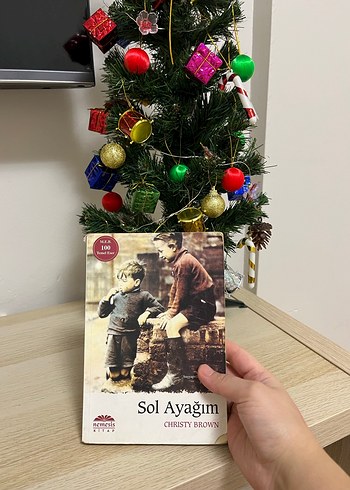 Sol Ayağım - Christy Brown - Görsel 2