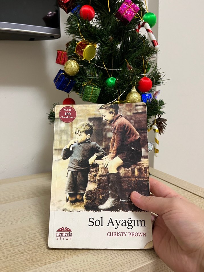 Sol Ayağım - Christy Brown - Görsel 3