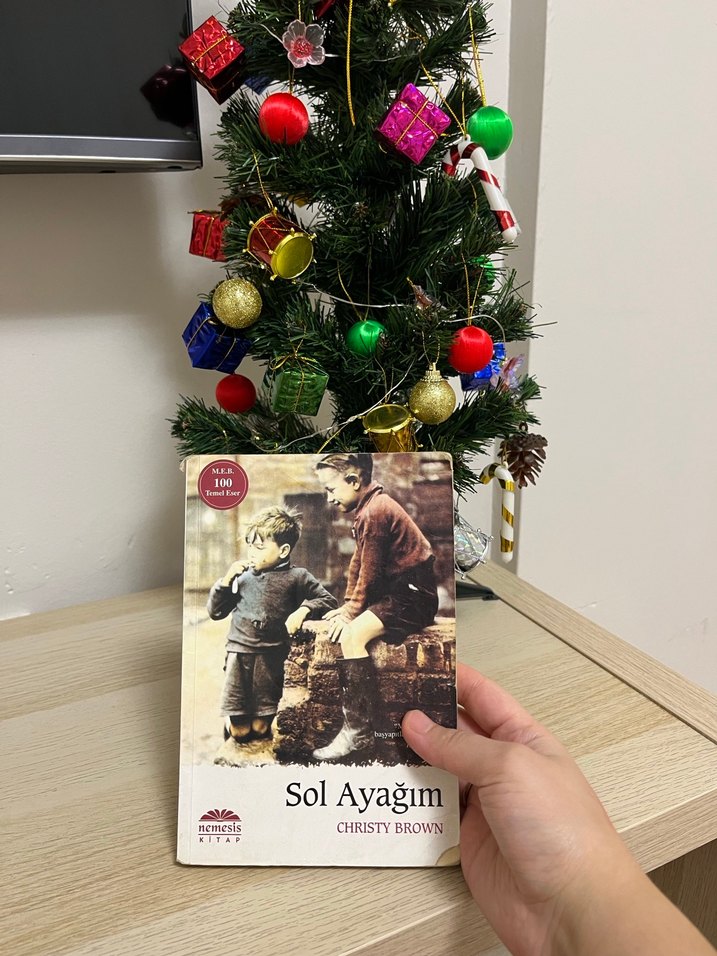 Sol Ayağım - Christy Brown - Görsel 2