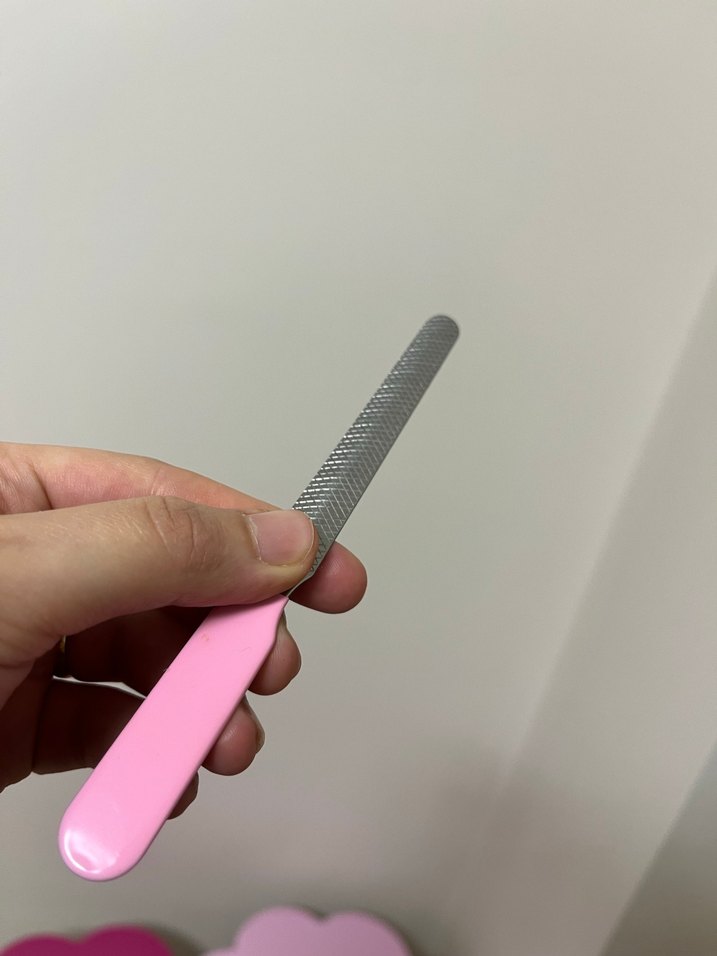 Pastel Pembe Evcil Hayvan Tırnak Törpüsü - Görsel 4