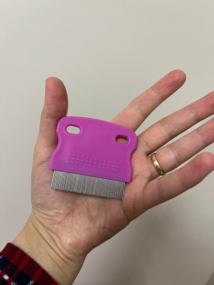 Evcil hayvan pire ve tüy tarağı - Görsel 3