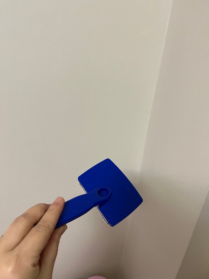 Parlak Mavi Kedi köpek evcil hayvan Tüy Fırçası - Görsel 2