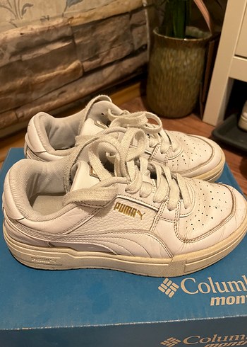 Puma 37