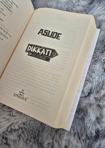 Dikkat! Aşk Çıkabilir - Asude - Görsel 3