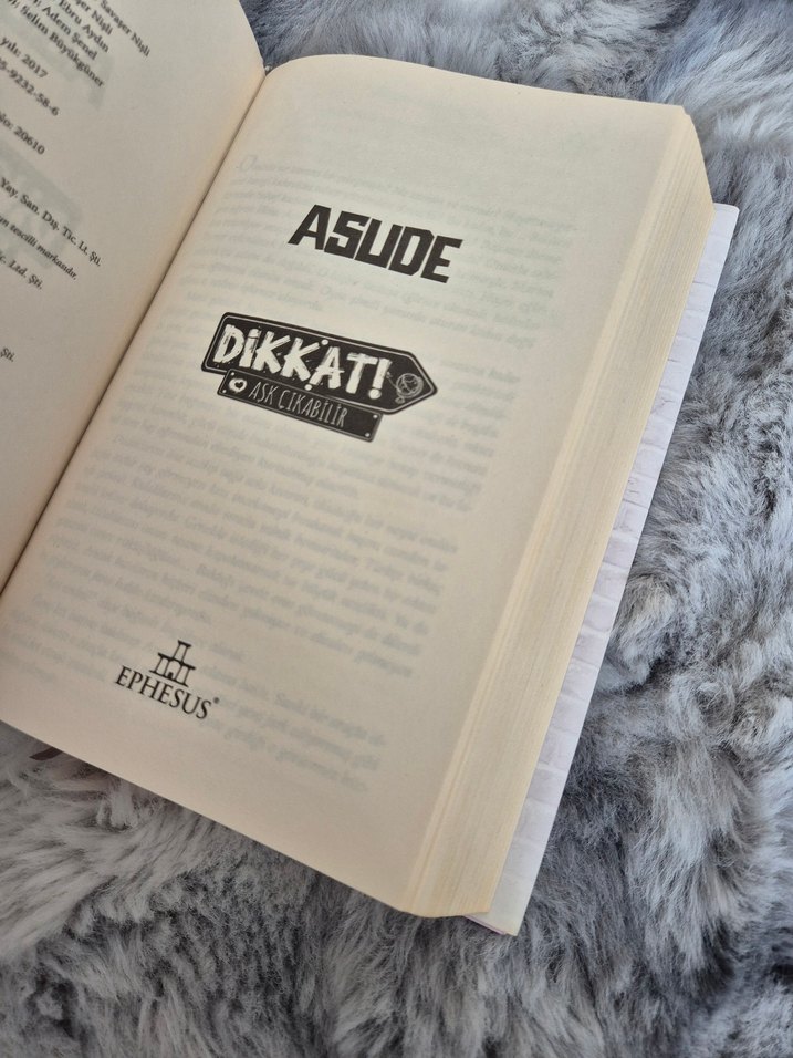 Dikkat! Aşk Çıkabilir - Asude - Görsel 3