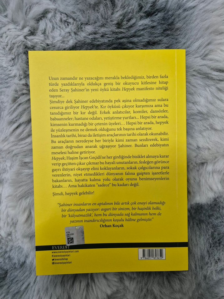 Hepyer - Seray Şahiner - Görsel 2