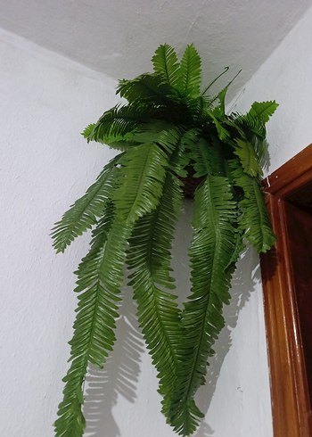 Yeşil Dekoratif Yapay Eğreltiotu - Görsel 7