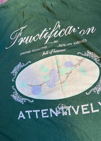 Yeşil Keten Hamile Tişörtü, Bisiklet Yaka, Uzun Kollu - Görsel 2