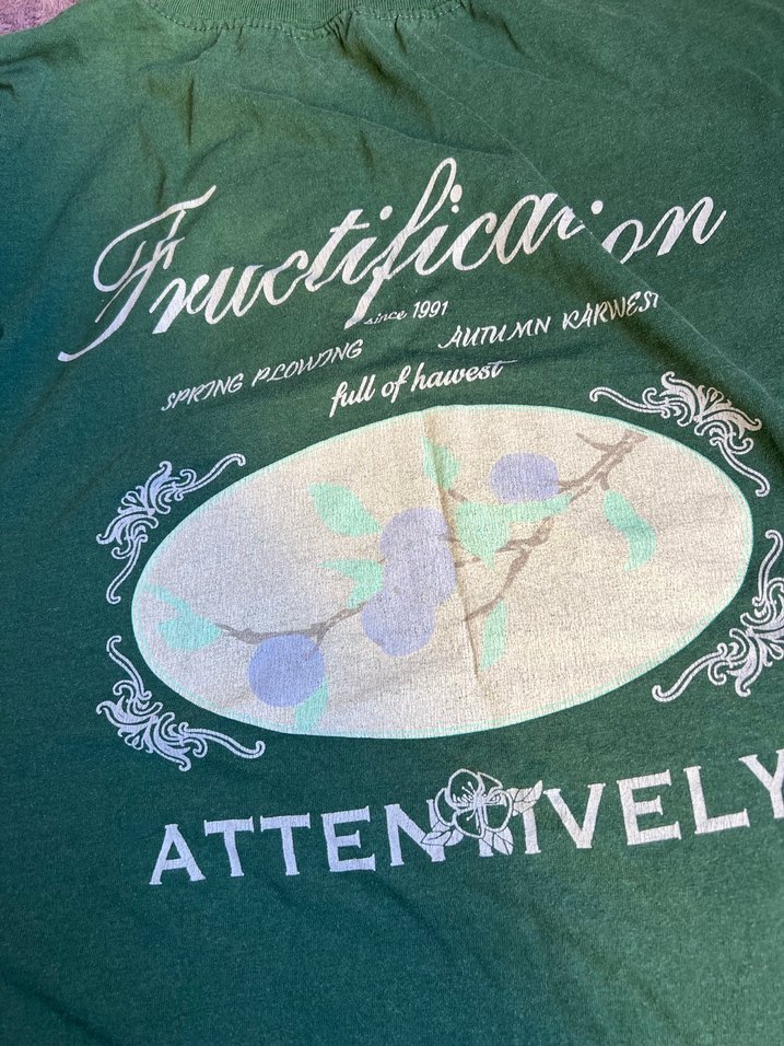 Yeşil Keten Hamile Tişörtü, Bisiklet Yaka, Uzun Kollu - Görsel 2