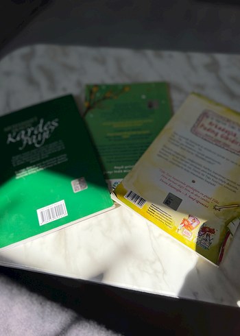 Ayvacı Yedik Müzesi Çocuk Kitabı - Görsel 2