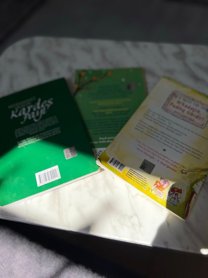 Ayvacı Yedik Müzesi Çocuk Kitabı - Görsel 2