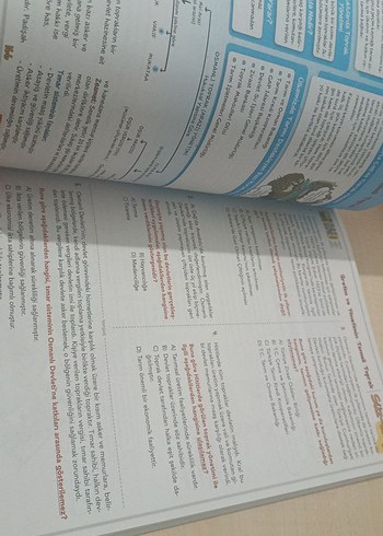 Beden Renk 7. Sınıf Sayısal ve Sözel Soru Bankaları