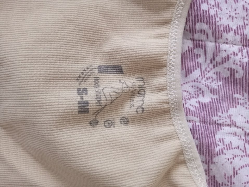 Giyilebilir korse - Görsel 2