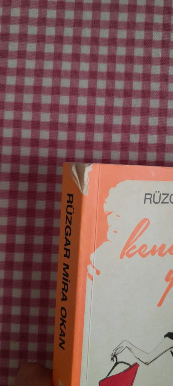 Kendi Stilini Yarat - Rüzgar Mira Okan - Görsel 2