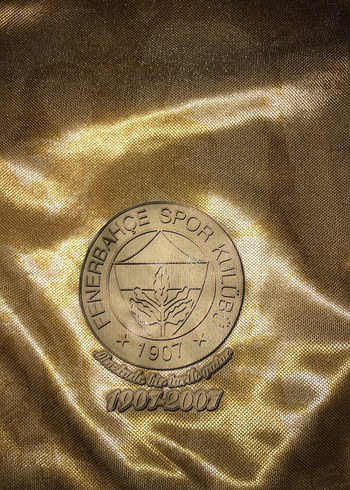 Fenerbahçe 2006-2007 Sezonu 100.Yıl Çift Taraflı Forma - Görsel 14