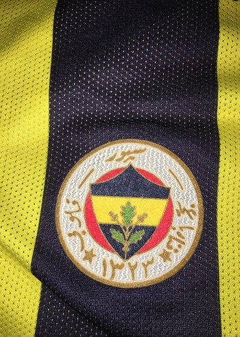 Fenerbahçe 2006-2007 Sezonu 100.Yıl Çift Taraflı Forma - Görsel 6