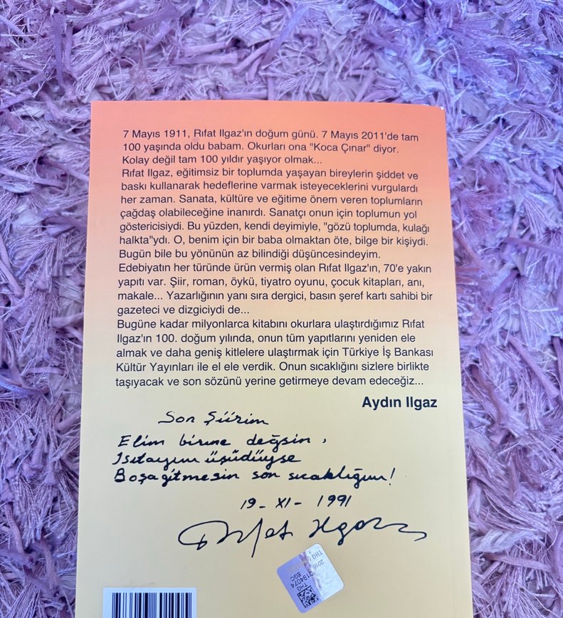 Hababam Sınıfı - Rıfat Ilgaz - Görsel 2