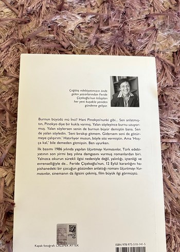 Uçurtmayı Vurmasınlar - Feride Çiçekoğlu