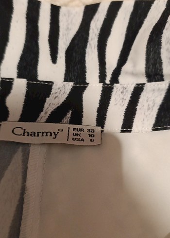 Kadın Beyaz Gri Zebra Desenli Uzun Kollu Gömlek bluz - Görsel 4