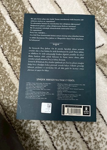 Percy Jackson ve Olimposlular - Şimşek Hırsızı - Görsel 2