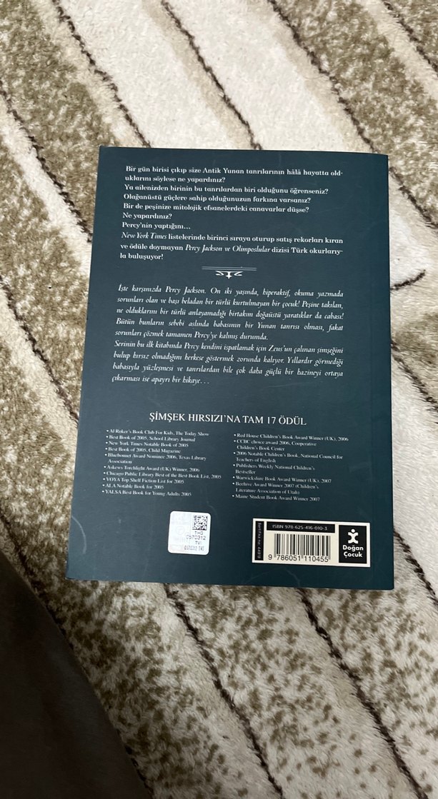 Percy Jackson ve Olimposlular - Şimşek Hırsızı - Görsel 2