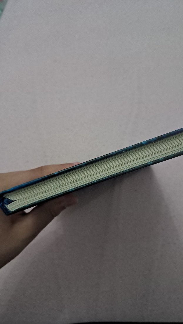 Hacker Nine - Çocuk Kitabı - Görsel 5