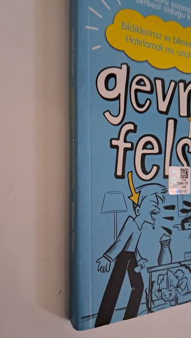 Gençler İçin Gevrek Felsefe kitabı hediyeli - Görsel 5