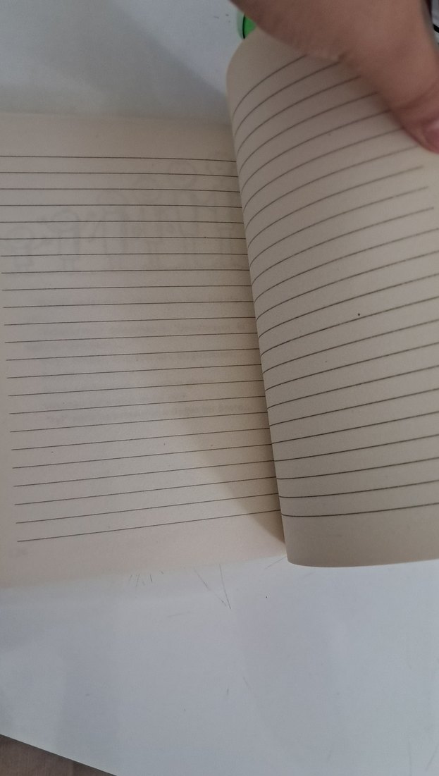 Gençler İçin Gevrek Felsefe kitabı hediyeli - Görsel 4