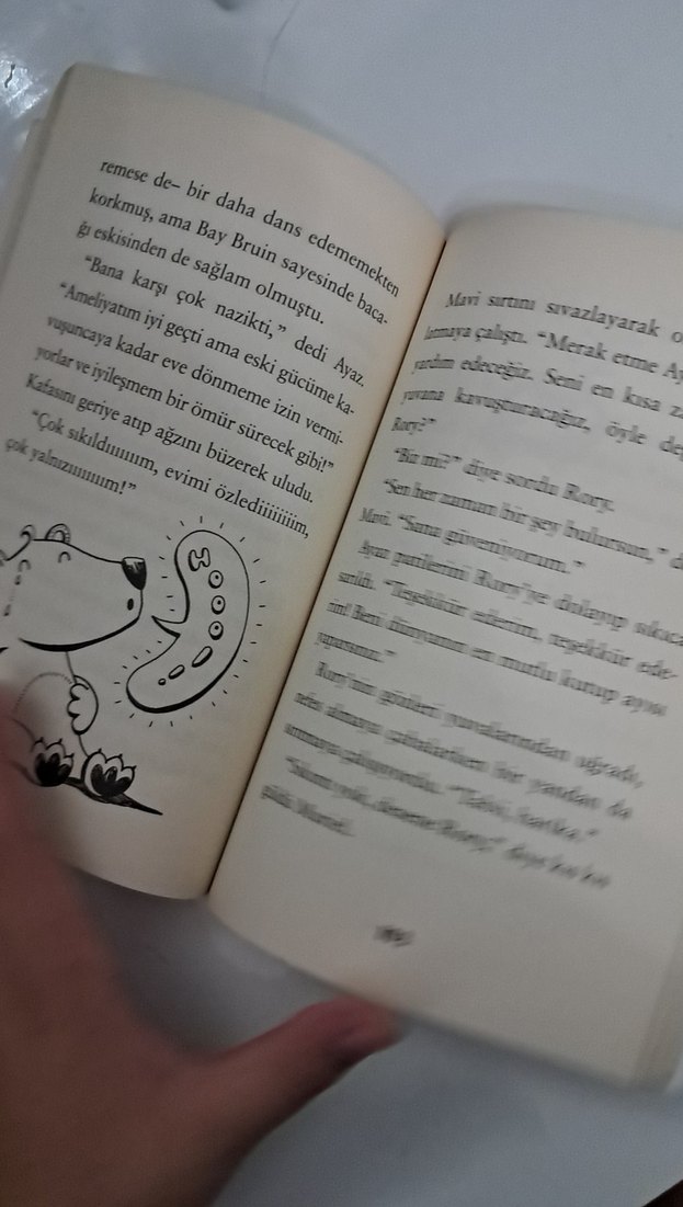 Penguen Curcunası ve yanında ingilizce bir kitap - Görsel 3
