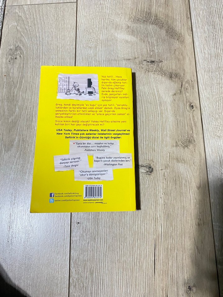 Saftirik Greg'in Günlüğü: İşte Şimdi Yandık - Görsel 2