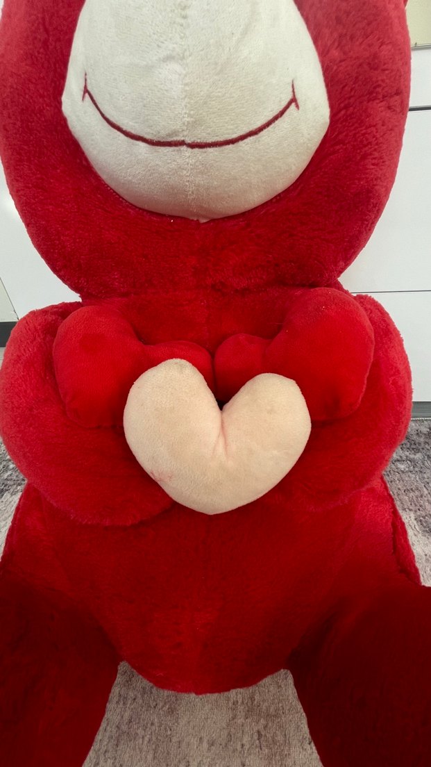 Kırmızı Yumuşak Peluş Ayı Oyuncak - Görsel 2