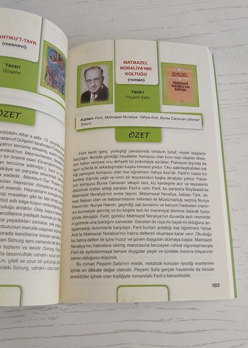 Beden Renk AYT Eser Özetleri El Kitabı - Yayın Denizi