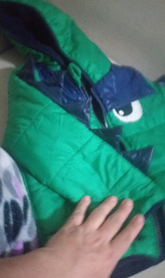 Erkek Çocuk Kapüşonlu Yeşil Desenli Mont - Görsel 2