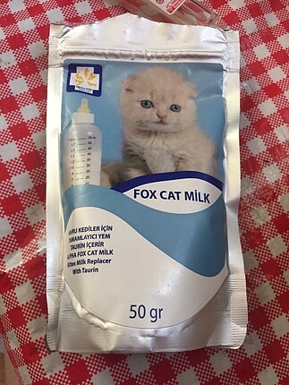 Kedi sütü