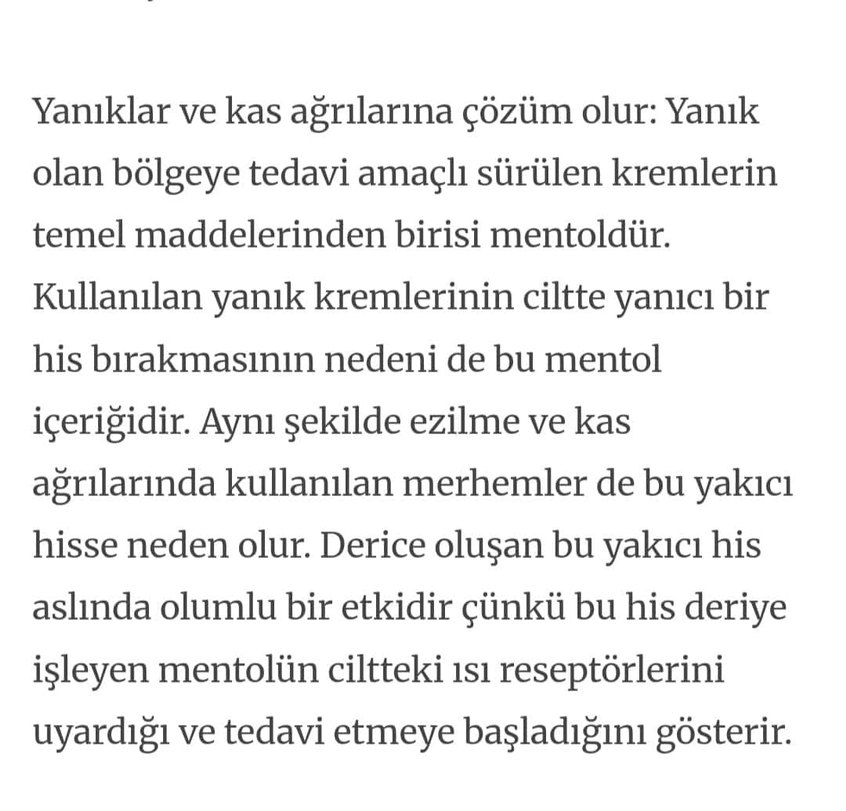 Cam Kavanozda mentollü kuyruk yağı kremi - Görsel 4