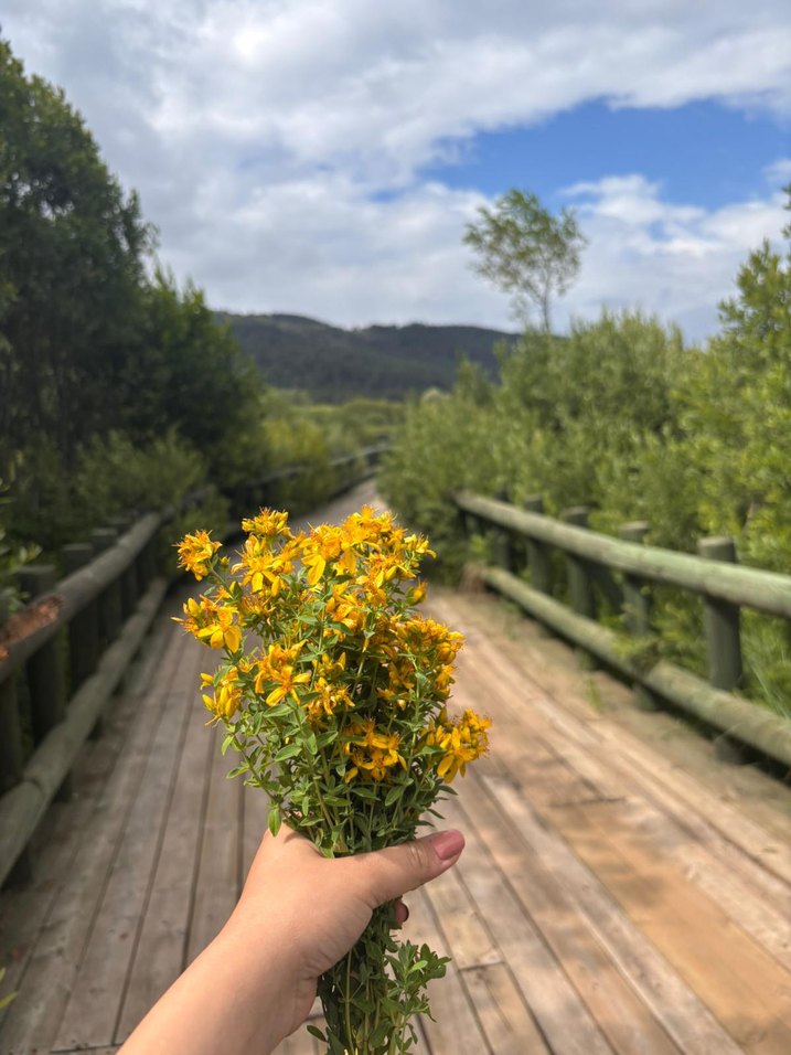 El yapımı kantoron  yağı 250 cm - Görsel 3