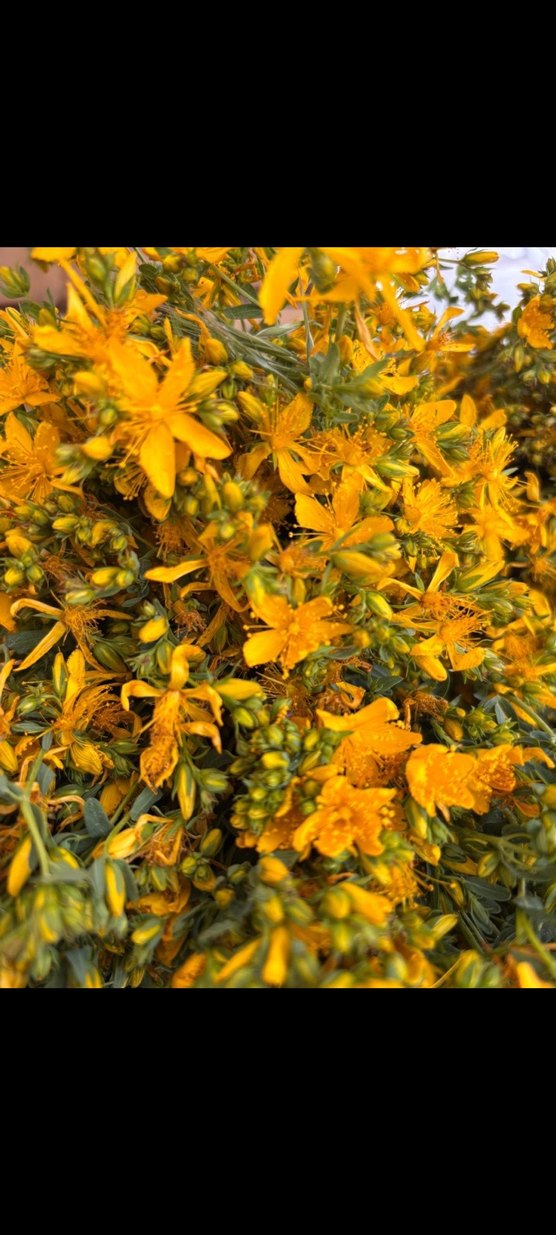 El yapımı kantoron  yağı 250 cm - Görsel 4