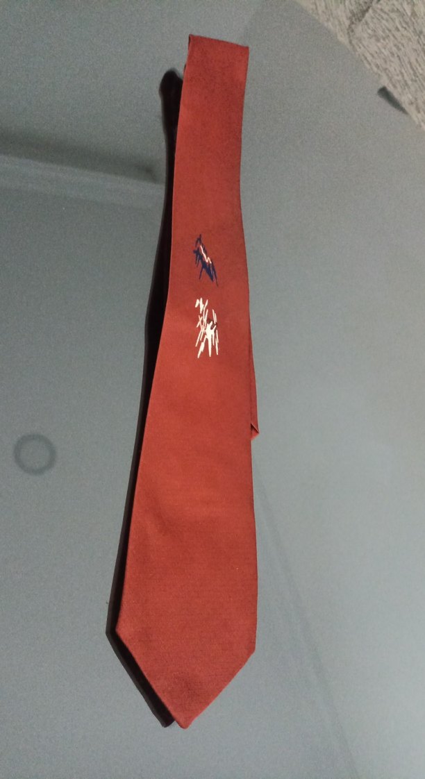 Koyu Kırmızı Erkek Kravat - Görsel 2