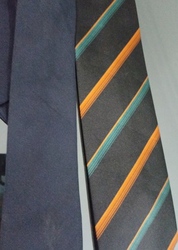 Çok Renkli Koyu Erkek Kravat - Görsel 2
