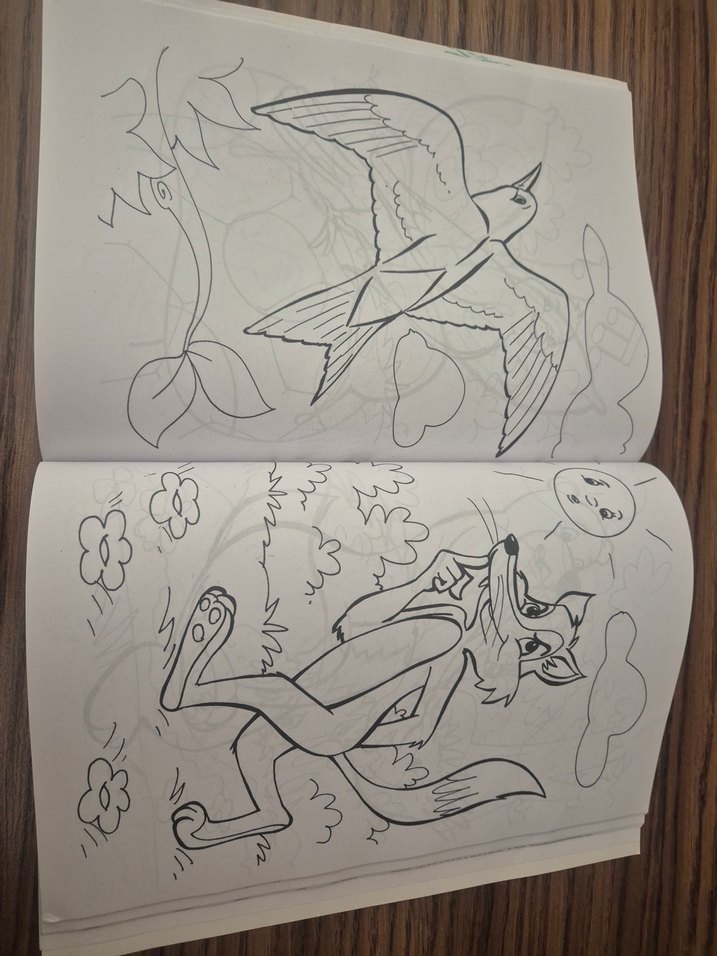 192 sayfa 2 adet Tombis Boyama Kitabı - Görsel 4