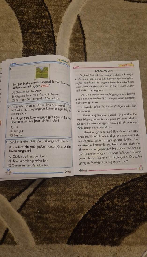 3. sınıf okuma anlama - Görsel 4