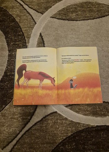 3 adet Dedektif Rakun Çocuk Kitapları Seti - Görsel 4