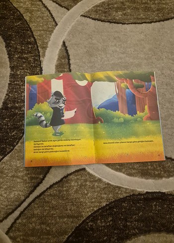 3 adet Dedektif Rakun Çocuk Kitapları Seti - Görsel 5