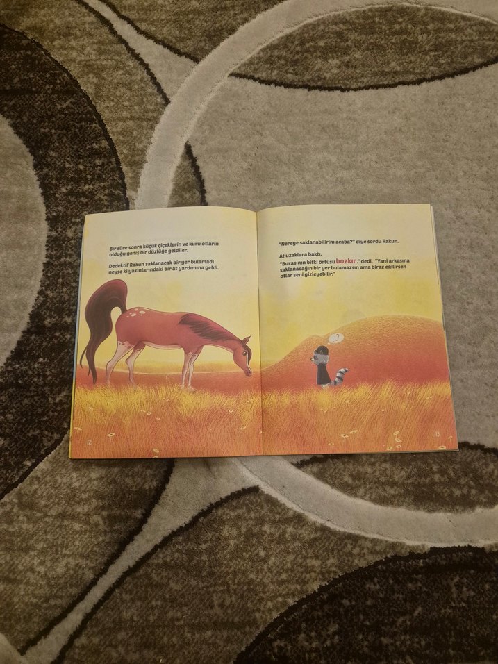 3 adet Dedektif Rakun Çocuk Kitapları Seti - Görsel 4